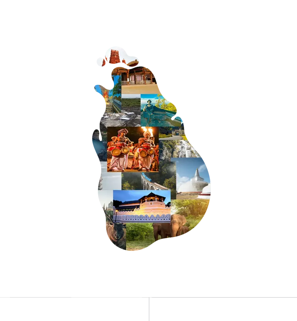 Why visit Sri Lanka collage