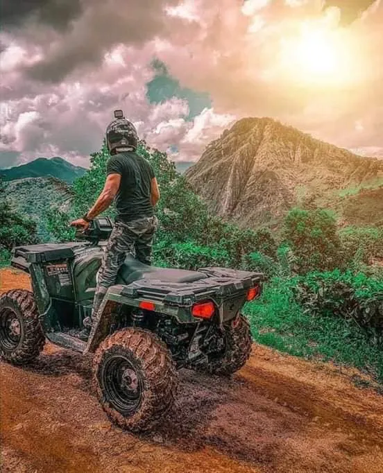 Wildlife safari experience